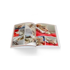 Album standardowy A5 pionowy